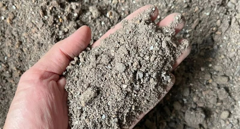 Compostthee en Trichoderma: wat leren wijngaarden in 2026?
